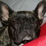 Djina xxxx