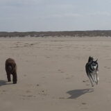 Foto van Jeanine :)