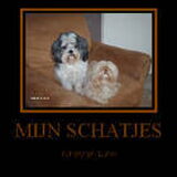Foto van liesbeth,Turbo,Luna, Levi en Faith