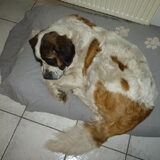 Luna slapie slapie aan het doen :)