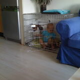 Samen spelen in gizmo zijn huisje =D