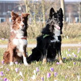 Foto van De jongens!