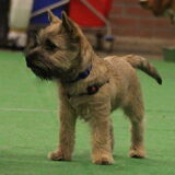 Tijdens cursus 21-3-2013