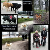 Noordsterpark Wormerveer (losloopgebied)