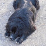 Foto van tessa