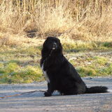 Foto van tessa