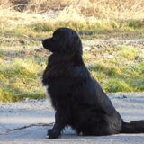 Foto van tessa