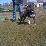 Foto van Chaos