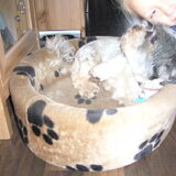 Foto van raymond en ingrid