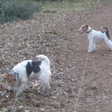 snuffel en puffel!