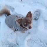 Foto van Jessie en Eli