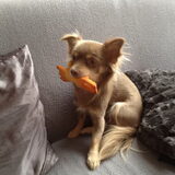 Foto van Jessie en Eli