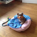 Foto van Jessie en Eli
