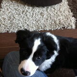 Foto van Willemke en Odie
