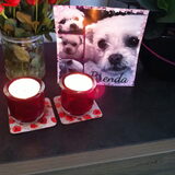 Kaarsjes branden speciaal voor jou. Rust zacht m'n lieverd. Nooit zal…