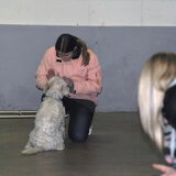 2de puppycursus les 04-04-2013 Ruby deed het weer heel erg goed :)