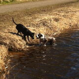Foto van Christien&Chelsea