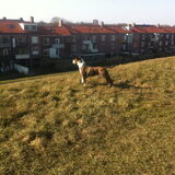 Foto van Christien&Chelsea