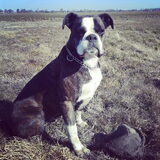 6april2013: wandelen met monkey.