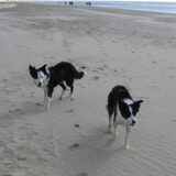 Foto van Inge, baasje van Sasha en Myra <3