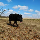 wandeling 7 april 2013