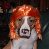 pippi