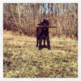 Foto van Anouk & Balou<3