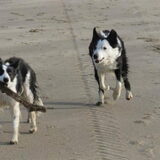 Foto van Inge, baasje van Sasha en Myra <3