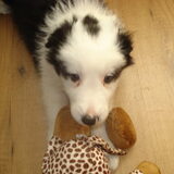 Hey, wat is dat voor iets geks voor m'n neus? ;)