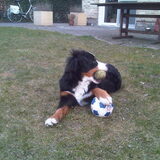 grr.. mijn ballen