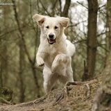 Foto van Sanne, Djyla en Quinto