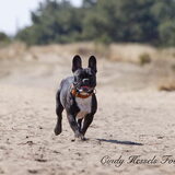 Foto van Maxine, Mira en Tuur