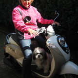 Samen met mijn vrouwtje op de scooter. Als ik mee mag rijden dan zit ik…