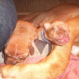 Foto van raymond en ingrid