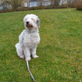 Ruby 09-04-2013, samen aan het oefenen op "ons" veldje