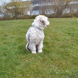 Ruby 09-04-2013, samen aan het oefenen op "ons" veldje