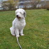 Ruby 09-04-2013, samen aan het oefenen op "ons" veldje