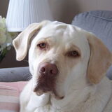 Foto van esther