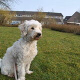 Ruby op 10-04-2013