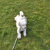 Ruby op 10-04-2013