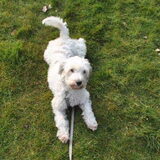 Ruby op 10-04-2013