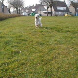 Ruby op 10-04-2013 kom voor
