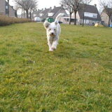 Ruby op 10-04-2013 kom voor