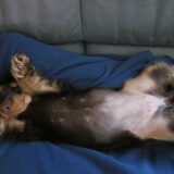 Noa slaapt :)