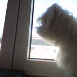 Fotomodel