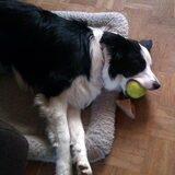 ...en gewoon doorslapen met bal !