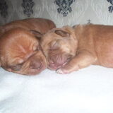 Ooow wat lief!!