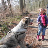 Foto van haarlemse