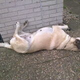 Genieten van het lekkere weer.