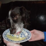 ze is dol op vanillepudding andere pudding. hoort ze alleen al de…